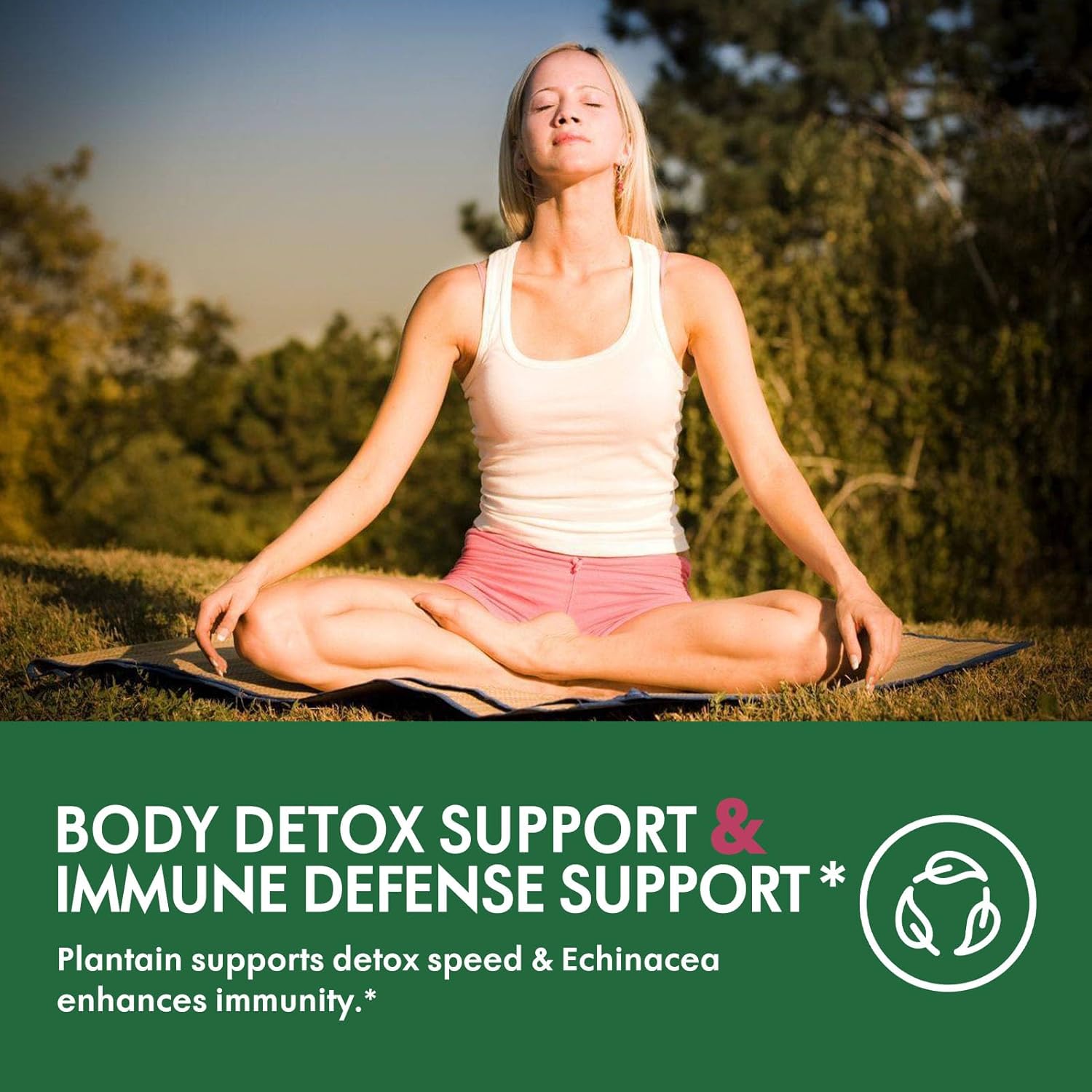 Selvaherb Lymphatic Support Drops with Poke Root, Cleavers, Dandelion & Echinacea Extract - 2oz Herbal Supplement