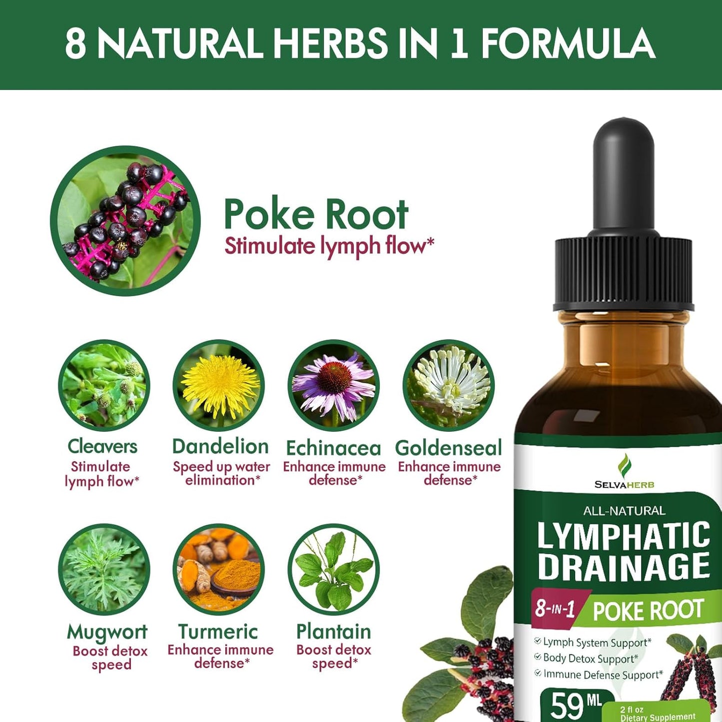 Selvaherb Lymphatic Support Drops with Poke Root, Cleavers, Dandelion & Echinacea Extract - 2oz Herbal Supplement