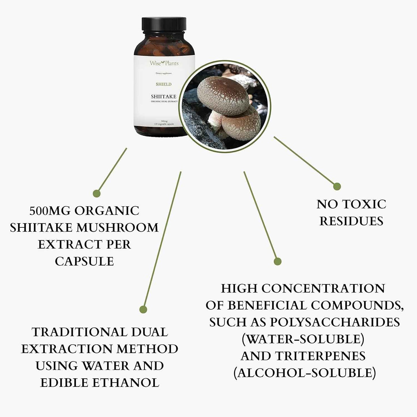 Shiitake Mushroom Supplement. Dual Extract, Pure Fruiting Body, 30% Polysaccharides, 500 mg, 60-Day Supply. Can Support Healthy Immune Function and Promote Heart Health.