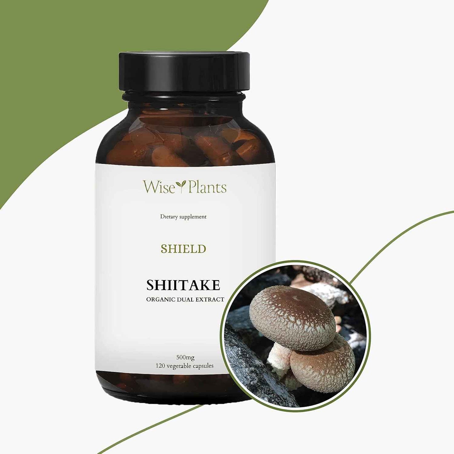Shiitake Mushroom Supplement. Dual Extract, Pure Fruiting Body, 30% Polysaccharides, 500 mg, 60-Day Supply. Can Support Healthy Immune Function and Promote Heart Health.