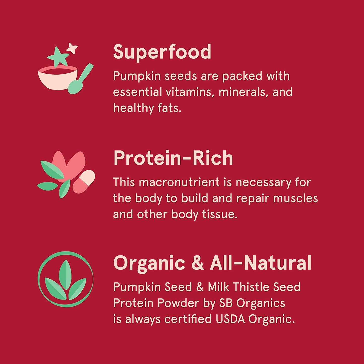 Sun Bay Organics Pumpkin & Milk Thistle Seed Protein Powder - 1lb Canister - Coffee Plant Based Shake Mix - 13g Protein Blend - Vegan, Soy, Dairy, Sugar, Gluten Free