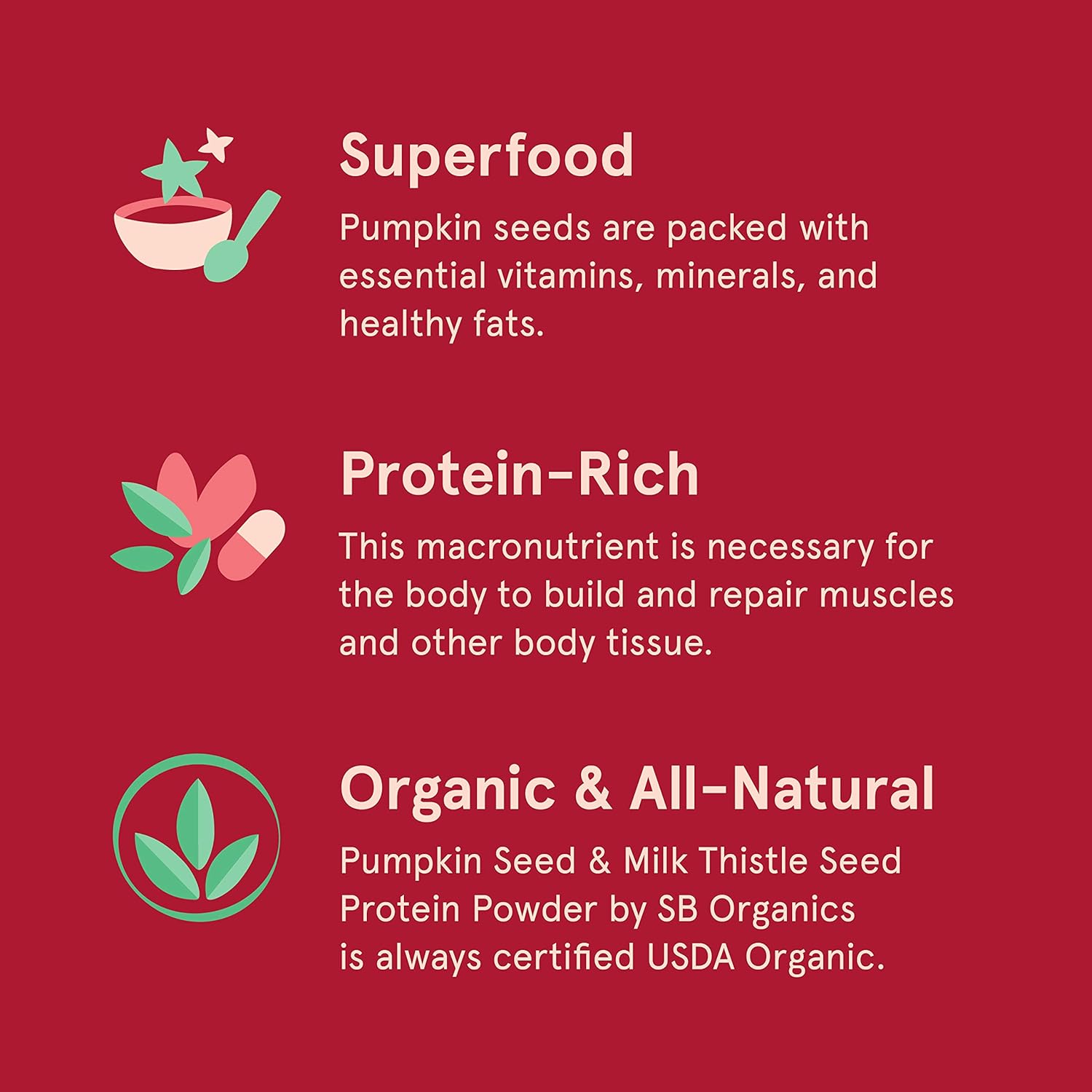 Sun Bay Organics Pumpkin & Milk Thistle Seed Protein Powder - 1lb Canister - Coffee Plant Based Shake Mix - 13g Protein Blend - Vegan, Soy, Dairy, Sugar, Gluten Free