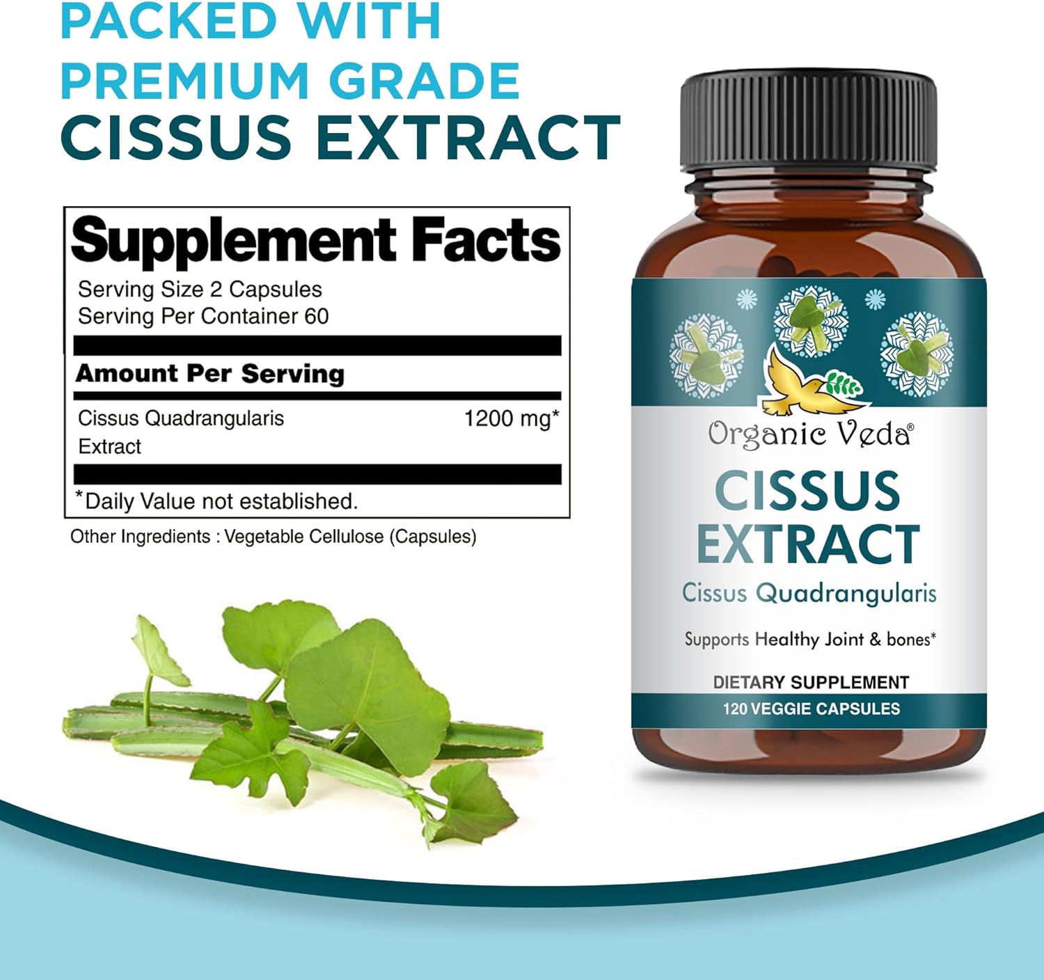 Super Concentrated Organic Veda Cissus Quadrangularis Extract Capsules 1200mg - Joint & Tendon Support Supplement - 120 ct