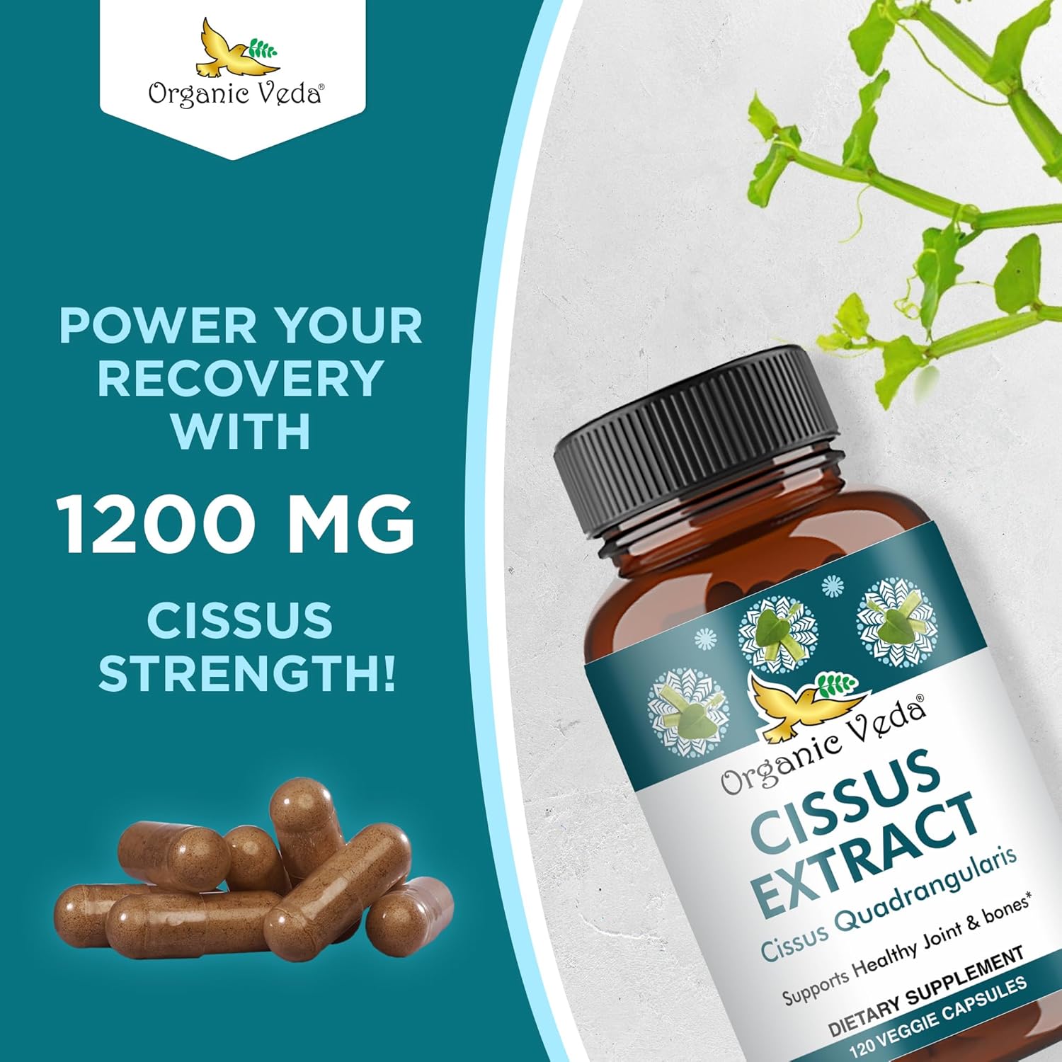 Super Concentrated Organic Veda Cissus Quadrangularis Extract Capsules 1200mg - Joint & Tendon Support Supplement - 120 ct
