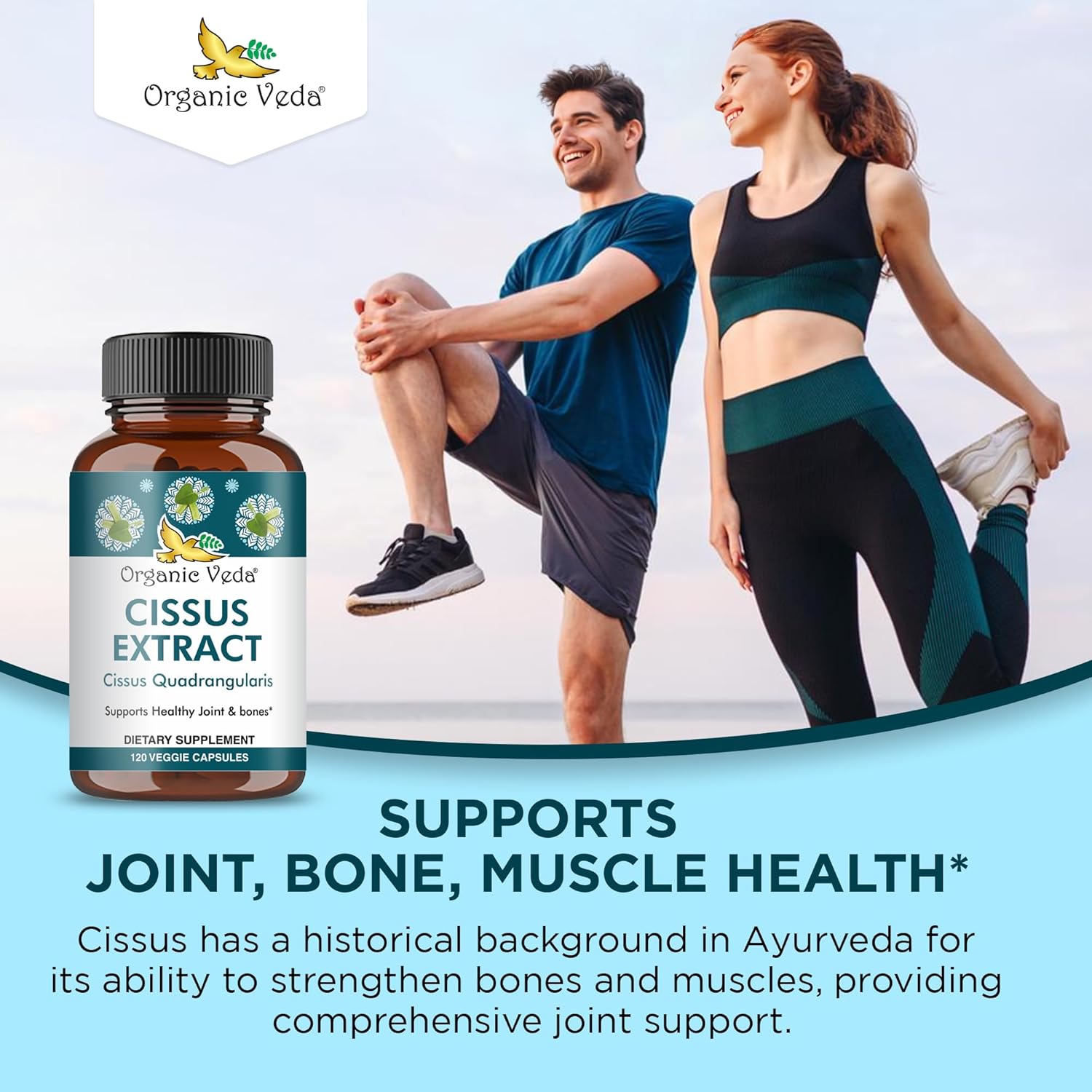 Super Concentrated Organic Veda Cissus Quadrangularis Extract Capsules 1200mg - Joint & Tendon Support Supplement - 120 ct