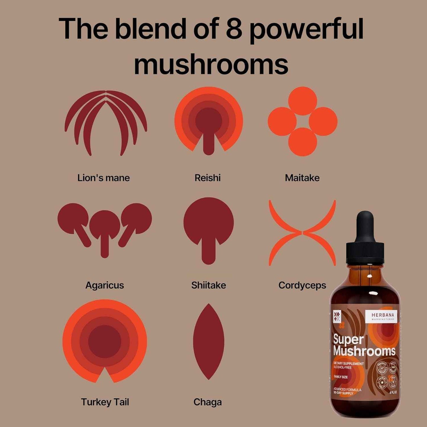 Super Mushrooms 8-in1 - 4 fl oz Liquid Extract - Brain Booster & Immune Support Drops - Reishi, Lion`s Mane, Cordyceps, Chaga, Mitake, Turkey Tails, Shiitake, Agaricus - High Potency - 90-Day Supply