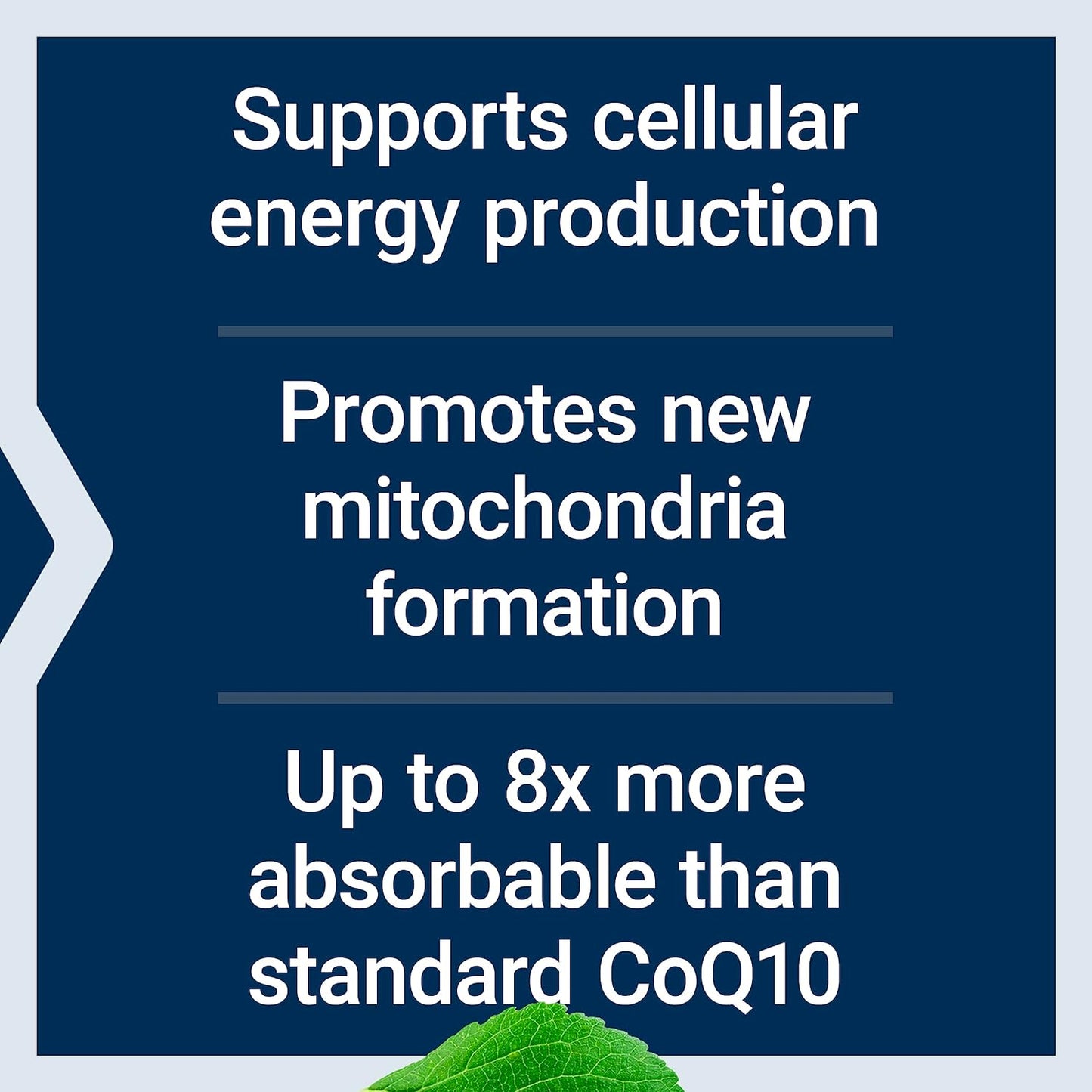 Super Ubiquinol CoQ10 with PQQ, Shilajit & Multivitamin - Heart Health Support with 25+ Nutrients & Plant Extracts