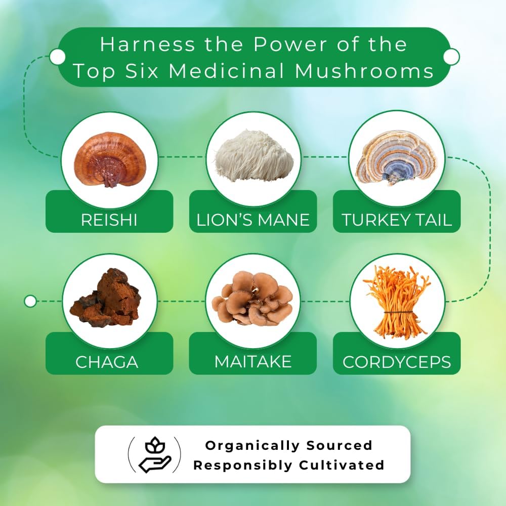 Superfood Mushroom Supplement Powder with Lion’s Mane, Turkey Tail, Reishi & More - Syner'Qi Mushroom Extract Powder - 45 Servings - 1.59 oz