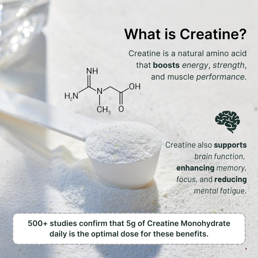 Travel-Friendly Mixed Whey Protein Powder with Creatine - 25g Protein, 5g Creatine - Gluten-Free, No Added Sugar - 30 Single-Serve Packets