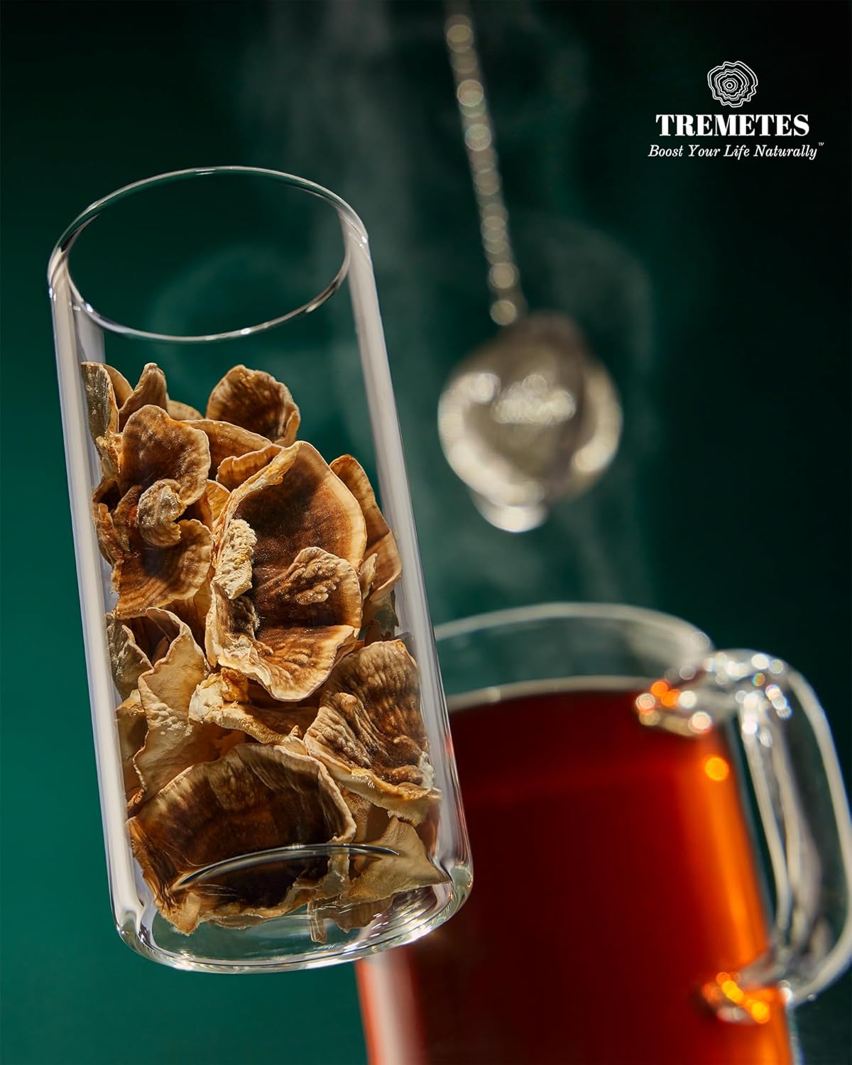 Ultra Premium Dried Turkey Tail Whole Fruiting Bodies by Tremetes - High Quality Mushroom Supplement for Immunity Boost