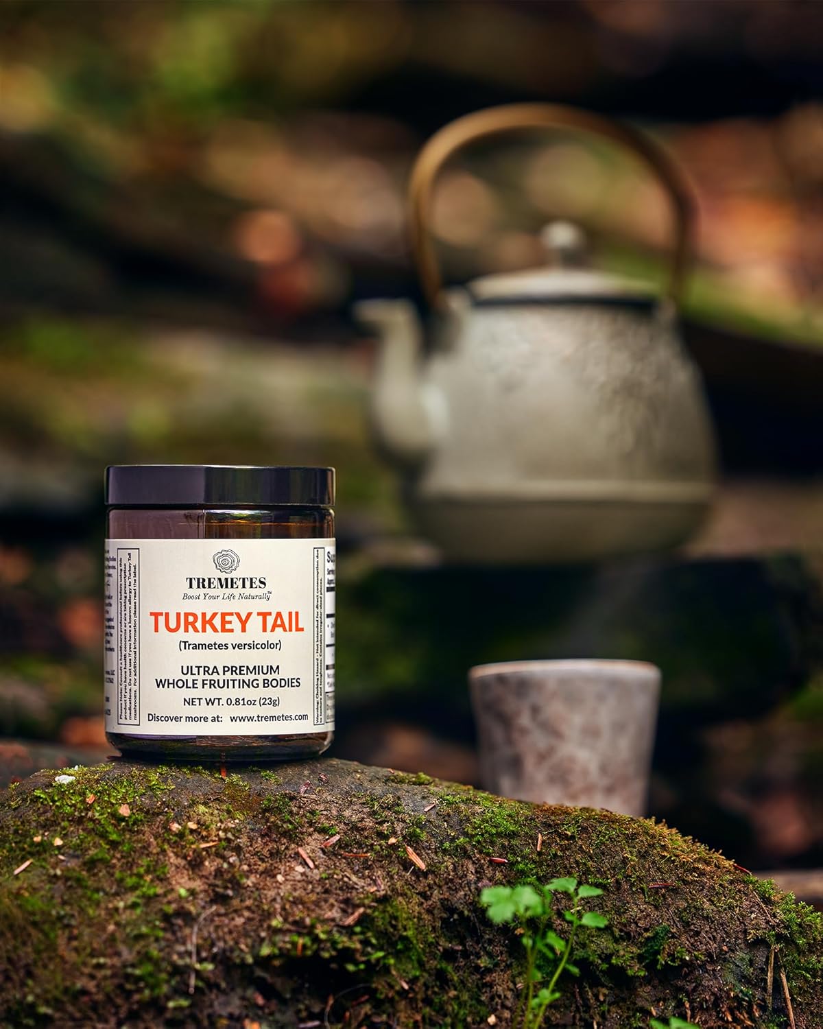 Ultra Premium Dried Turkey Tail Whole Fruiting Bodies by Tremetes - High Quality Mushroom Supplement for Immunity Boost
