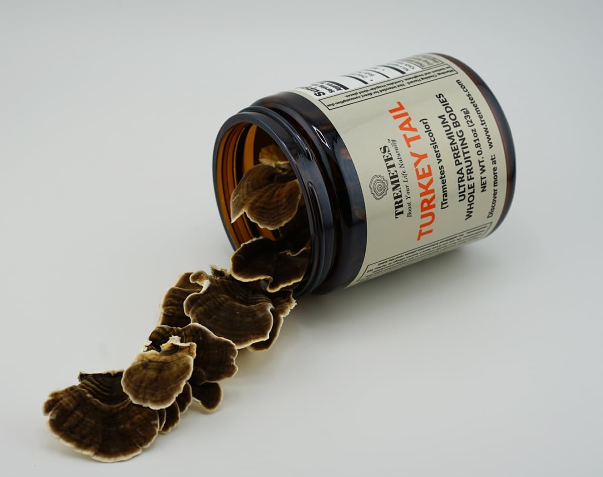 Ultra Premium Dried Turkey Tail Whole Fruiting Bodies by Tremetes - High Quality Mushroom Supplement for Immunity Boost
