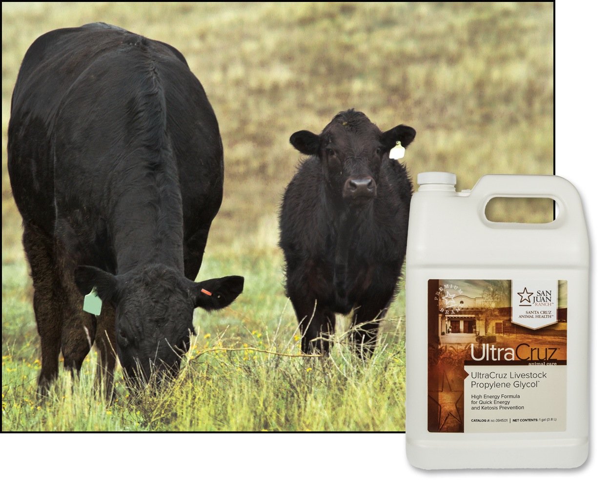 UltraCruz Propylene Glycol for Skin Hydration and Moisturization