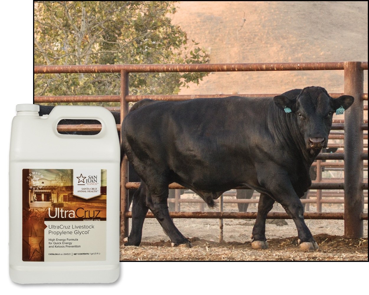 UltraCruz Propylene Glycol for Skin Hydration and Moisturization