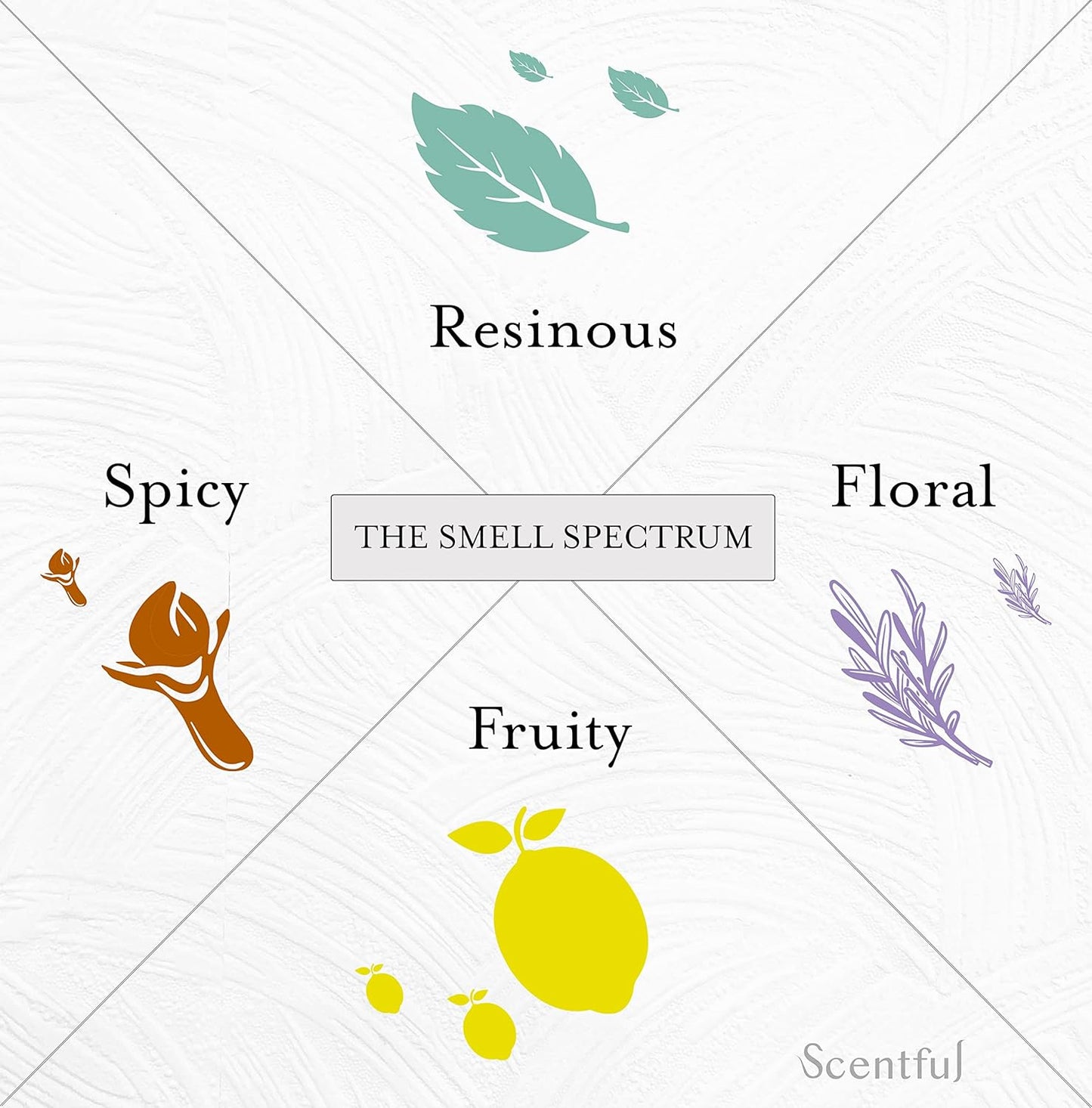 USA-Made Scentful Smell Training Kit: Restore Sense of Smell with Organic Essential Oils