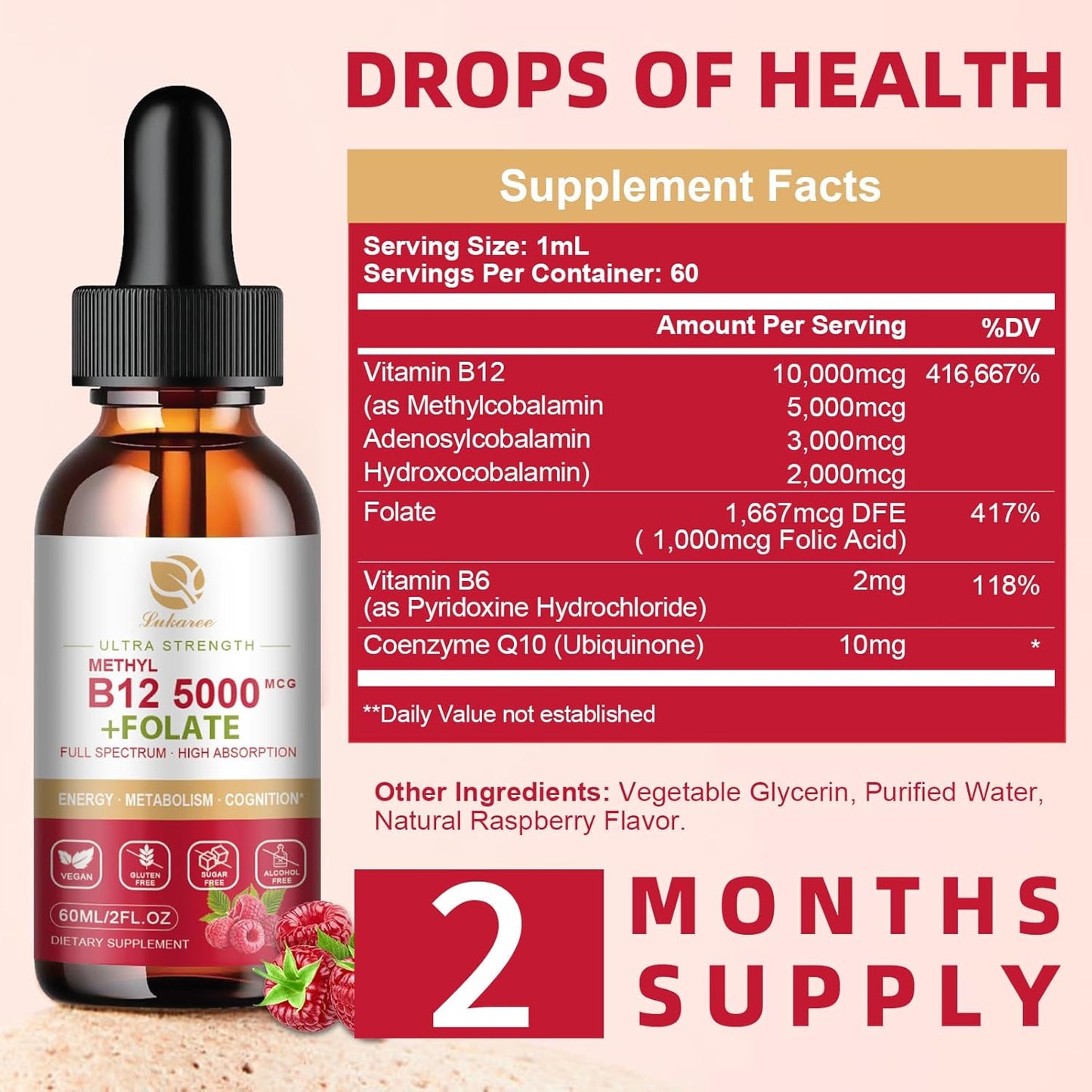 Vegan B12 Sublingual Drops (2 Pack) for Energy, Focus, Mood & Immune Support - Full Spectrum Liquid Vitamins with Methylcobalamin, Adenosyl & Hydroxy B12