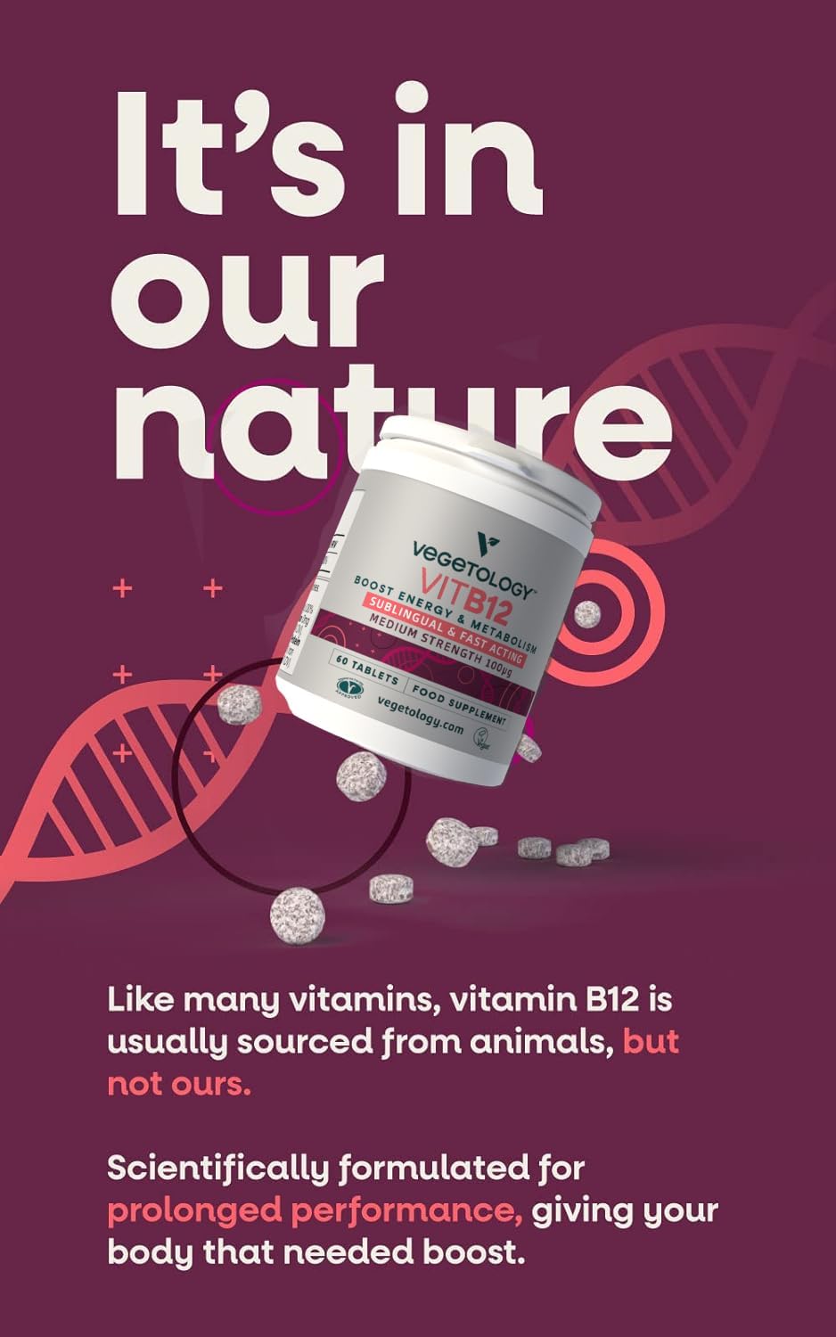 VEGETOLOGY Vegan Vitamin B12 Sublingual Energy Supplements for Metabolism & Health - 60 Tablets