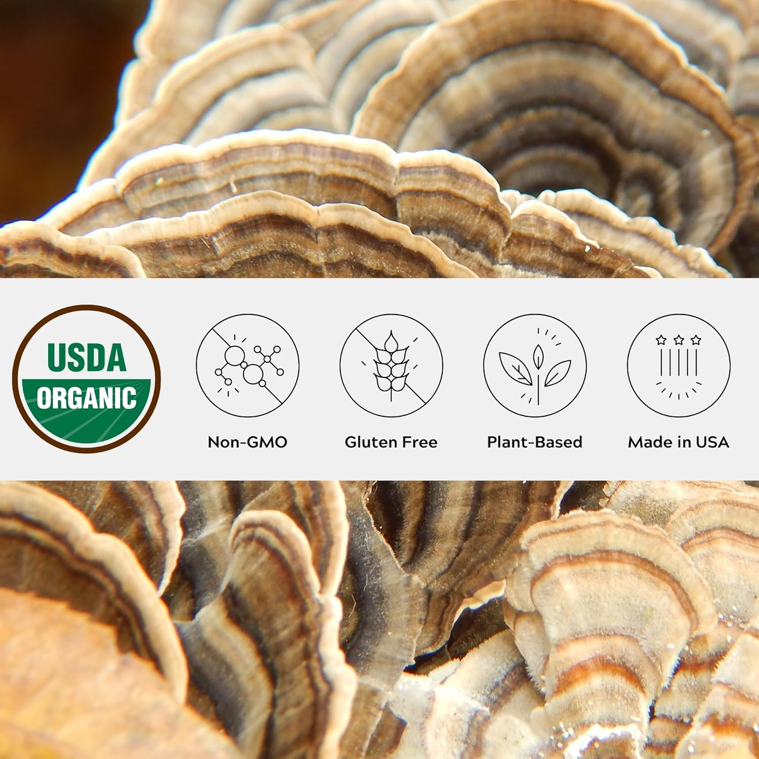 WAAYB Organic Turkey Tail Mushroom Powder for Gut, Energy, Brain, Immune Support - Single Estate, Non-GMO Vegan Supplement in Glass Jar