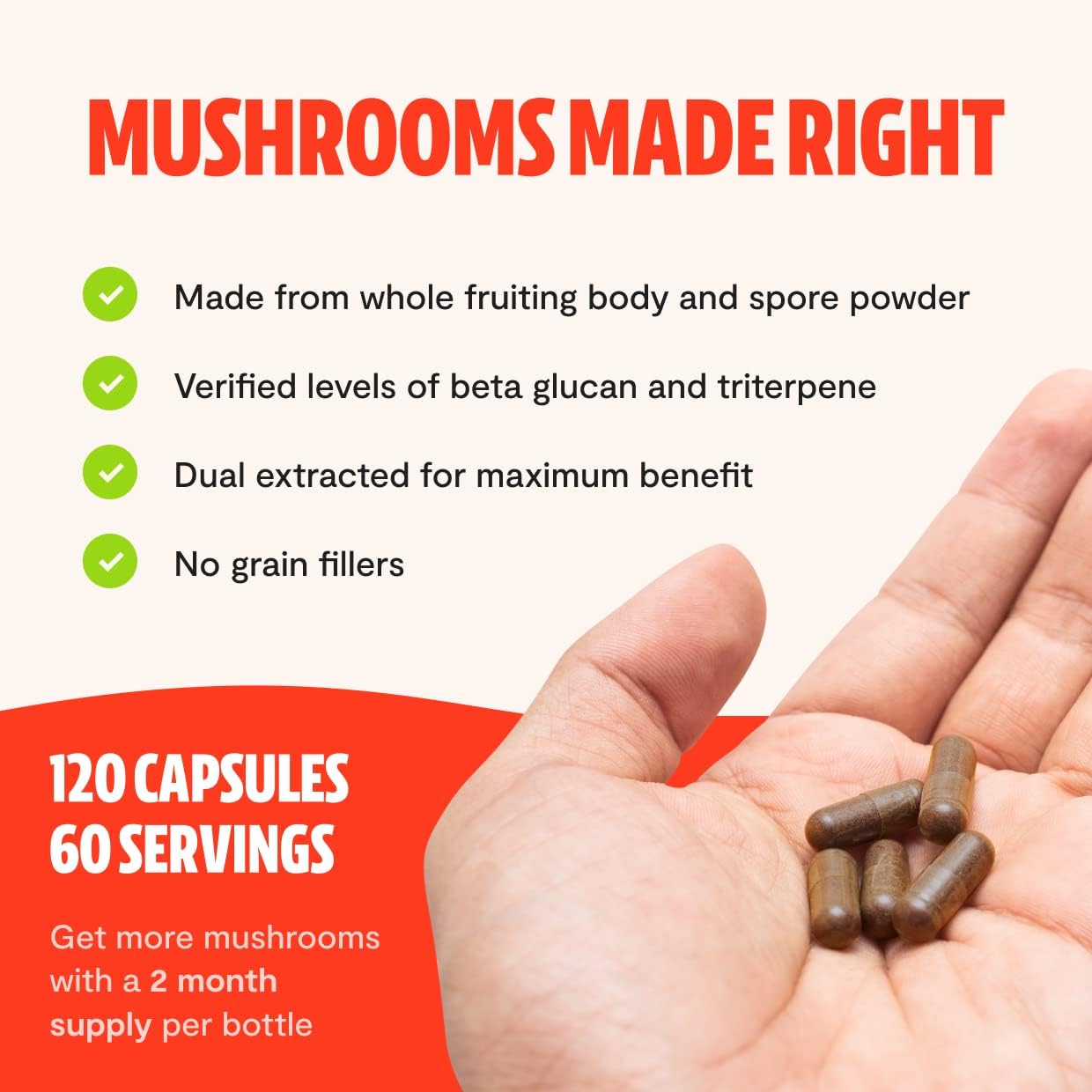 Wellness Duo: Reishi 14,000mg + Turkey Tail 10,000mg Capsules for Longevity, Immune & Digestive Health (120 Count)