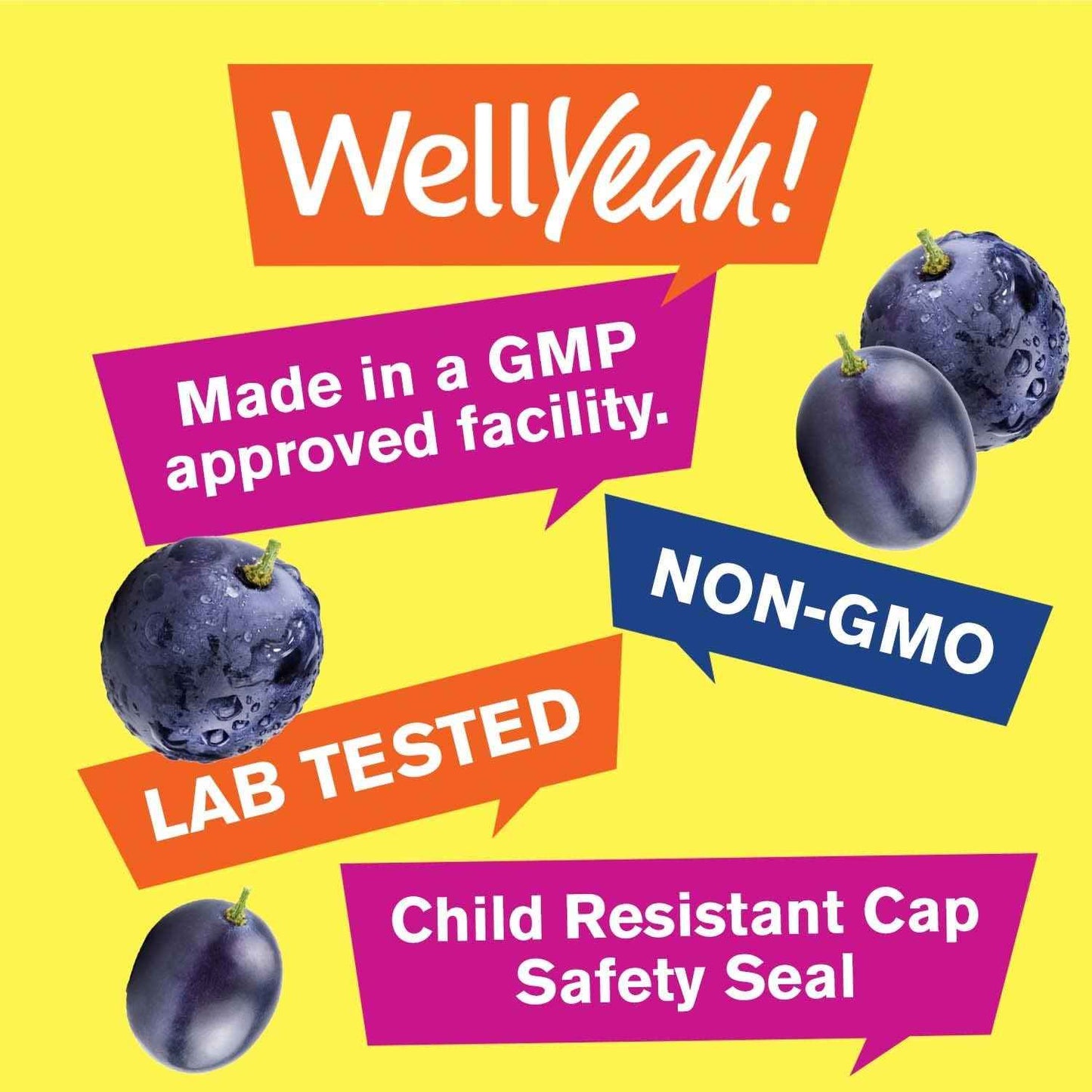 WellYeah Iron+Vitamin C + Probiotics Women 10B CFU, Gummies Bundle - Great Tasting, Vitamin Supplement, Gluten Free, GMO Free, Chewable Gummy