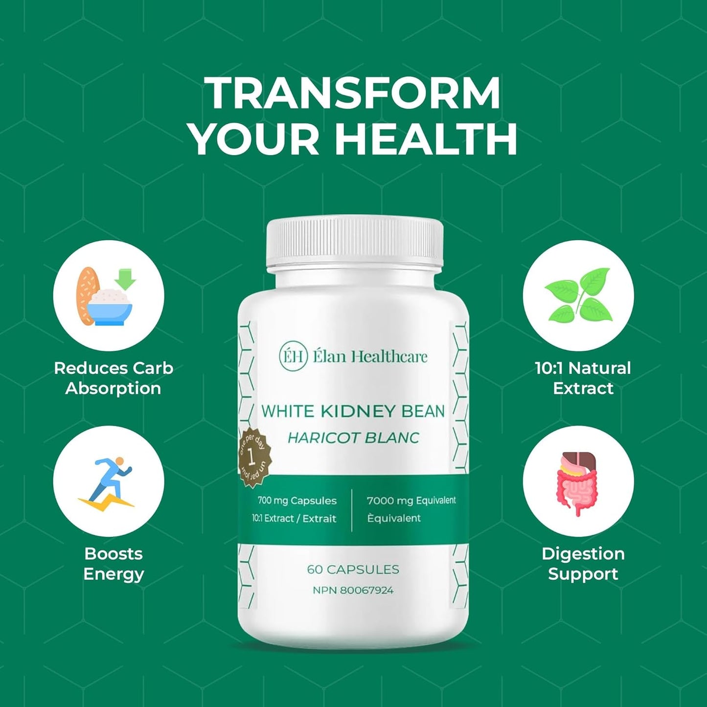 White Kidney Bean Extract Supplement - 60 Capsules with 10:1 Extract 7000mg Equivalent - Non-GMO & Vegetarian