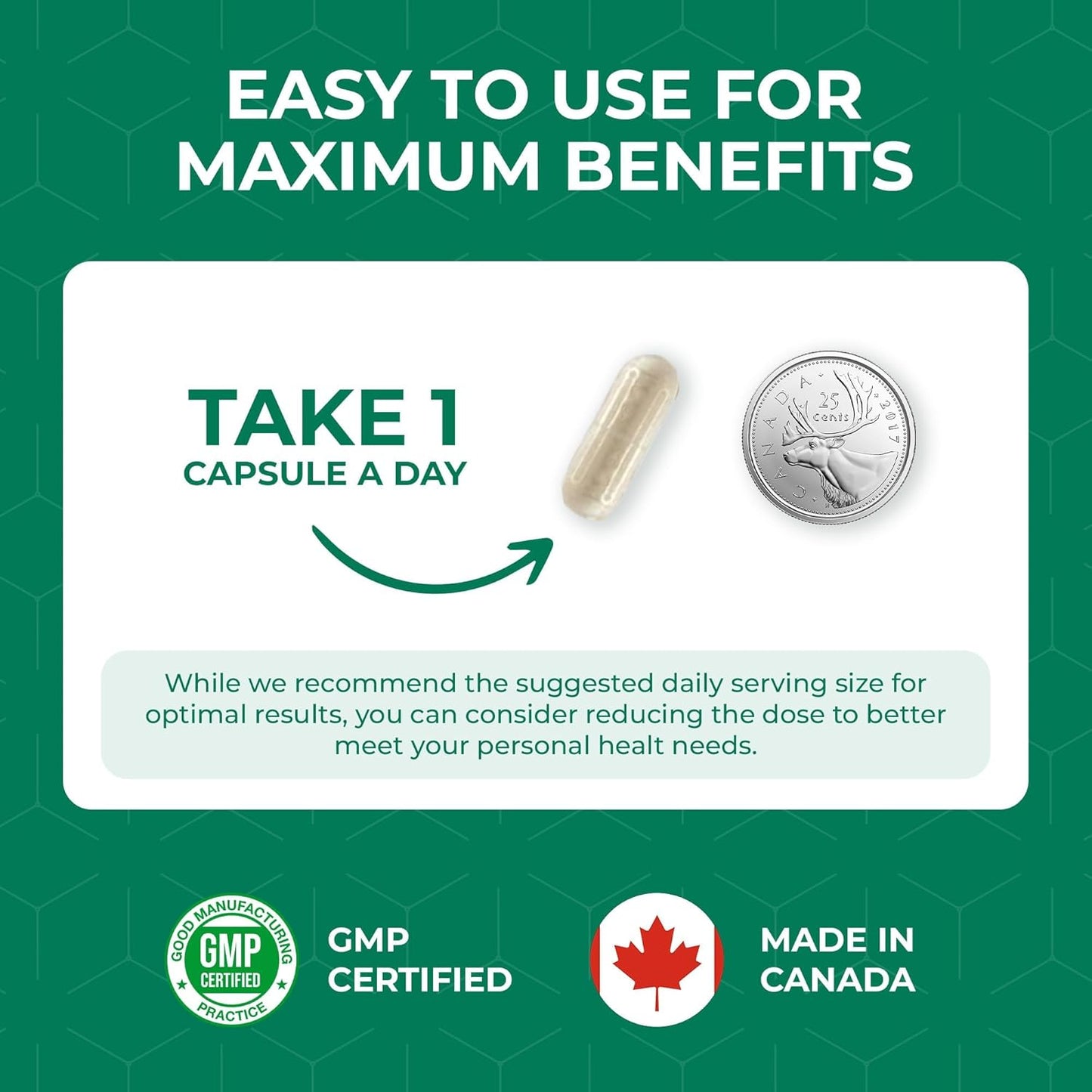 White Kidney Bean Extract Supplement - 60 Capsules with 10:1 Extract 7000mg Equivalent - Non-GMO & Vegetarian