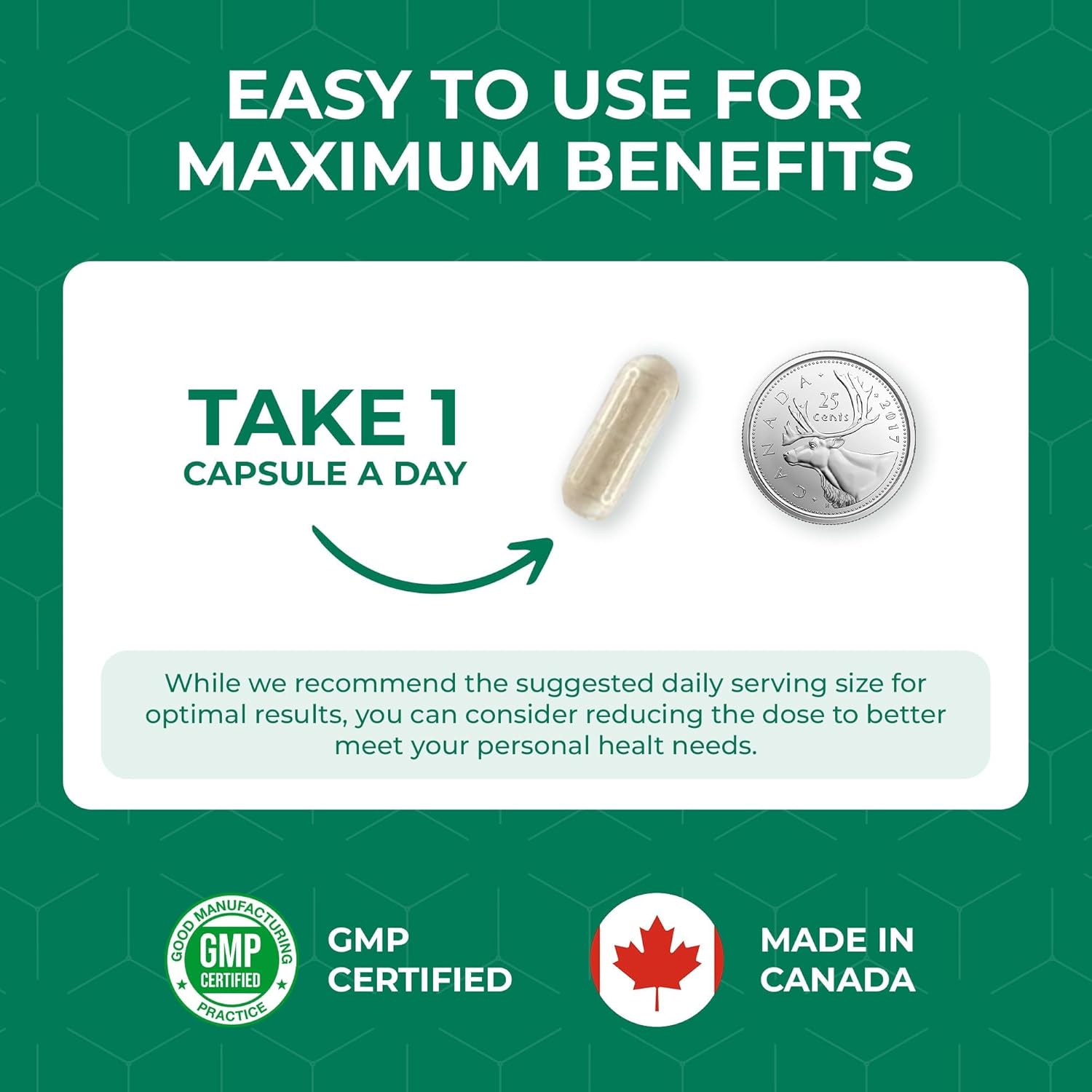 White Kidney Bean Extract Supplement - 60 Capsules with 10:1 Extract 7000mg Equivalent - Non-GMO & Vegetarian