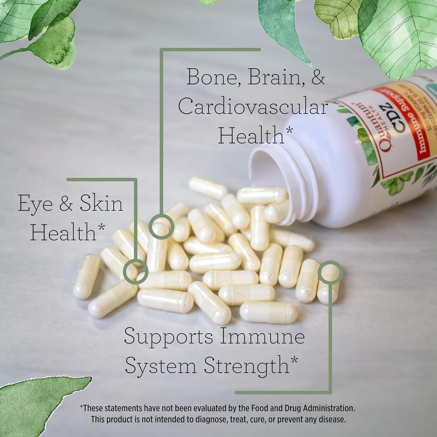 Whole Body Wellness Support Complex with Vitamin C, D, and Zinc - Immune Boost Supplement for Men & Women - 60 Capsules