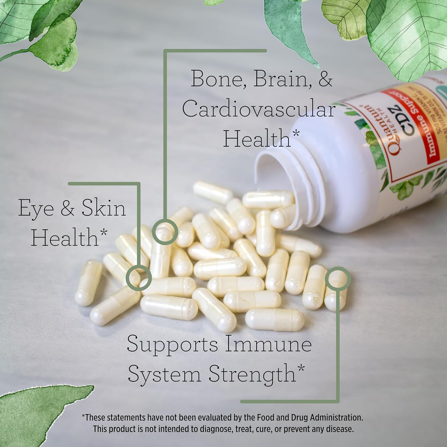 Whole Body Wellness Support Complex with Vitamin C, D, and Zinc - Immune Boost Supplement for Men & Women - 60 Capsules