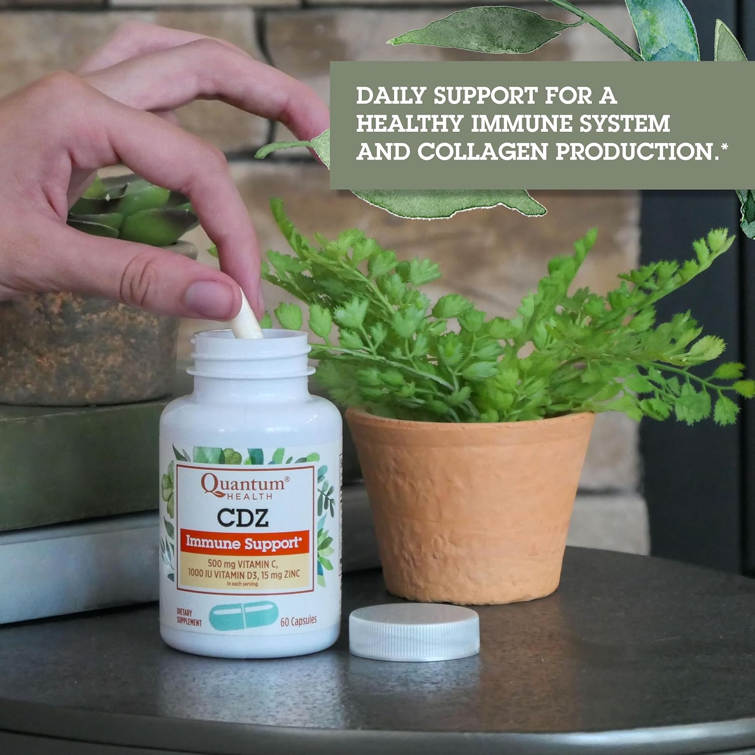 Whole Body Wellness Support Complex with Vitamin C, D, and Zinc - Immune Boost Supplement for Men & Women - 60 Capsules