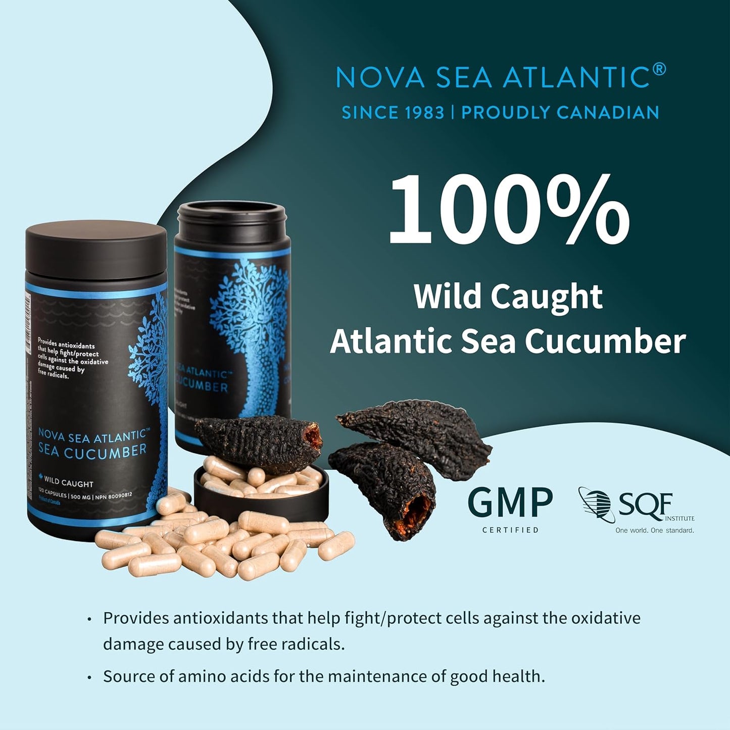 Wild Caught Nova Sea Atlantic Sea Cucumber Capsules with Fucosylated Chondroitin, Vitamins & Minerals - Natural Antioxidant Supplement for All Ages (2 Pack)
