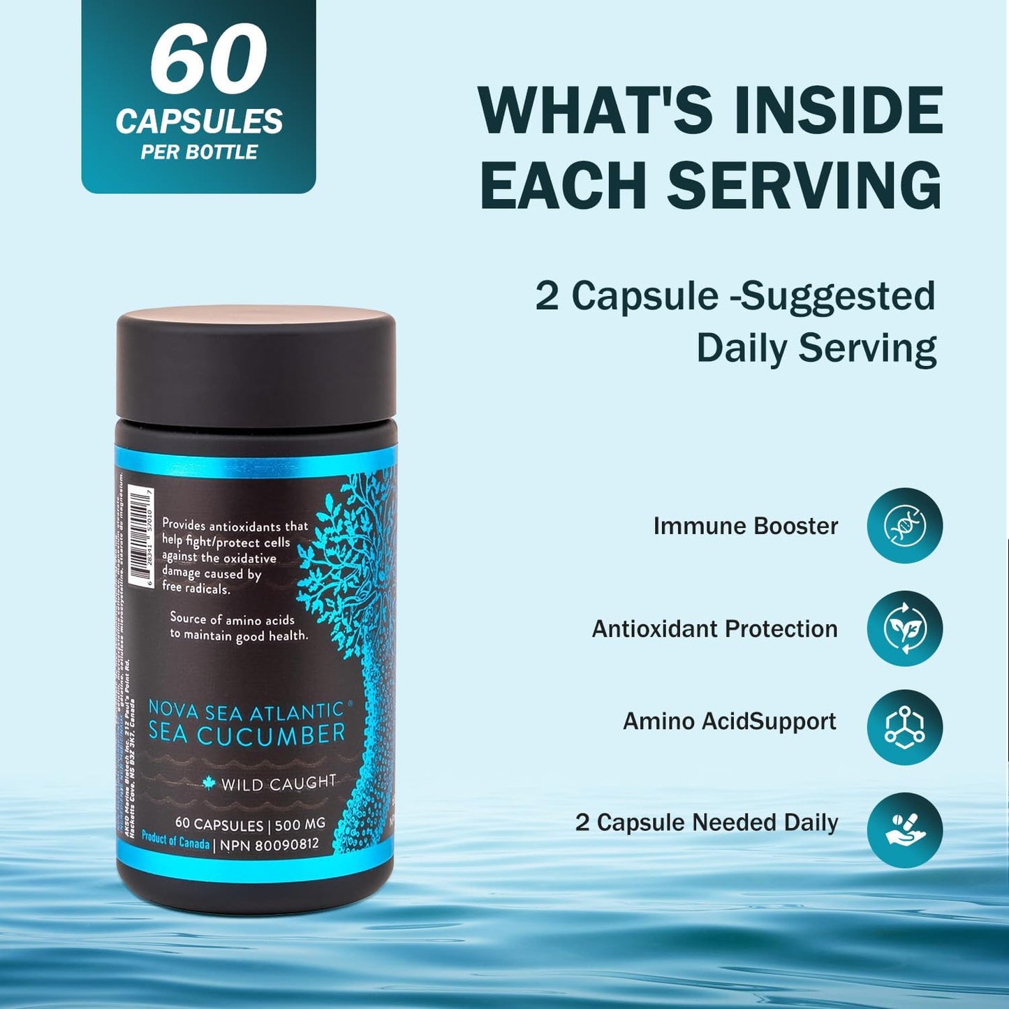 Wild Caught Nova Sea Atlantic Sea Cucumber Capsules with Fucosylated Chondroitin, Vitamins & Minerals - Natural Antioxidant Supplement for All Ages (2 Pack)