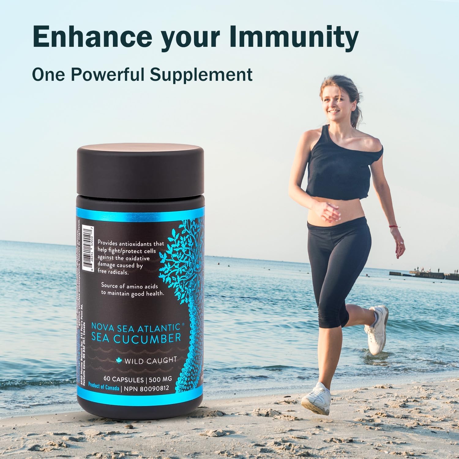 Wild Caught Nova Sea Atlantic Sea Cucumber Capsules with Fucosylated Chondroitin, Vitamins & Minerals - Natural Antioxidant Supplement for All Ages (2 Pack)