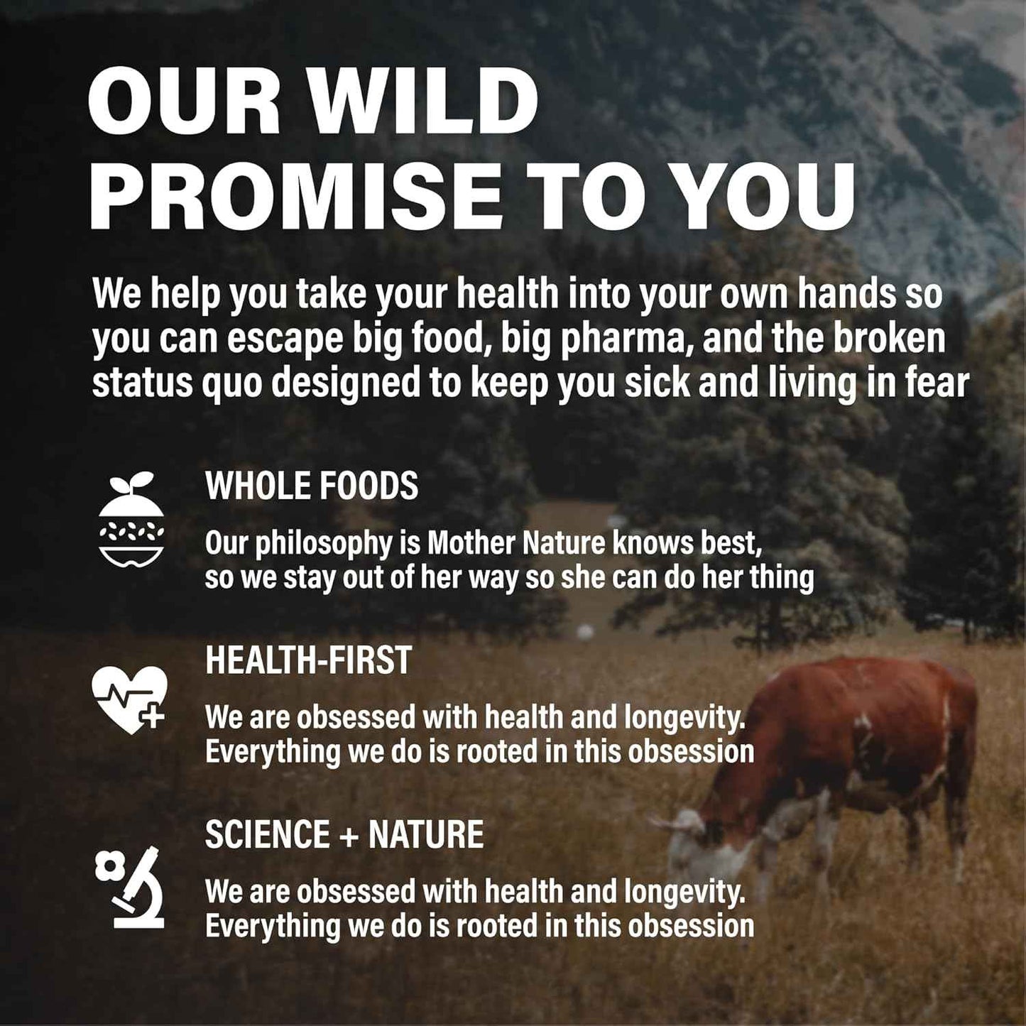 Wild Foods Beef Liver Capsules - Grass-Fed & Pasture-Raised | 3000mg Ancestral Supplement for Natural Energy & Immune Support | Organ Supplement for Men & Women | Keto, Paleo, Carnivore (120 Softgels)