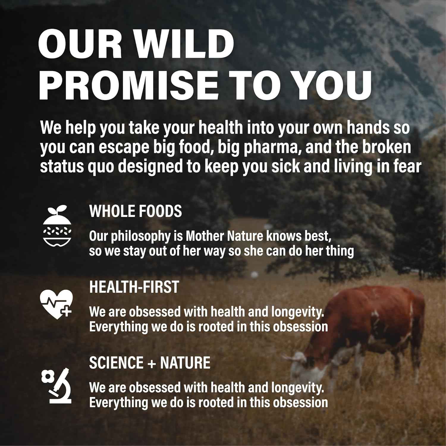 Wild Foods Beef Liver Capsules - Grass-Fed & Pasture-Raised | 3000mg Ancestral Supplement for Natural Energy & Immune Support | Organ Supplement for Men & Women | Keto, Paleo, Carnivore (120 Softgels)