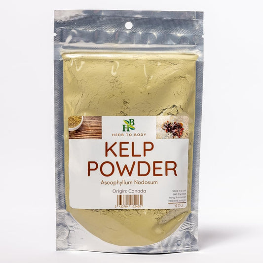 Wildcrafted Ascophyllum Nodosum Kelp Powder for Body | 4oz Jar