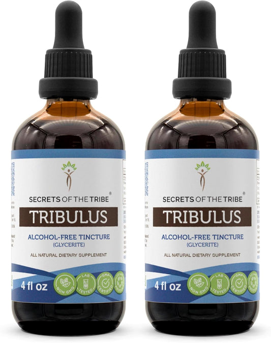 Wildcrafted Turkey Tail Mushroom Tincture Alcohol-Free Extract - High-Potency Herbal Drops by Secrets of the Tribe