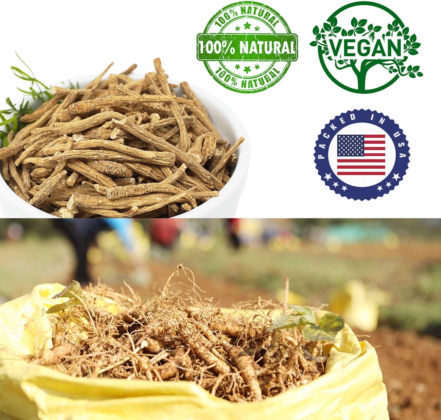 Wisconsin American Ginseng Roots Tea 4oz - Hand-Selected A Grade Cultivated Roots from DABC OAK LAND