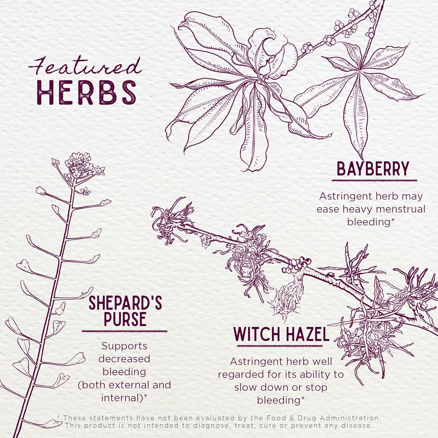 WishGarden Herbs Flow Stopper Lingering Cycle Herbal Formula - Shepherd's Purse & Witch Hazel, 4oz