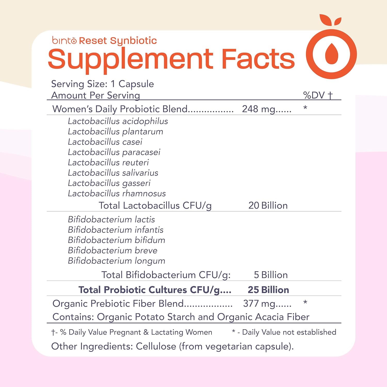 Women's Digestive Health Supplement with Pre and Probiotics - Boost Immunity and Gut Flora Balance - Binto Reset Synbiotic (30-Day)