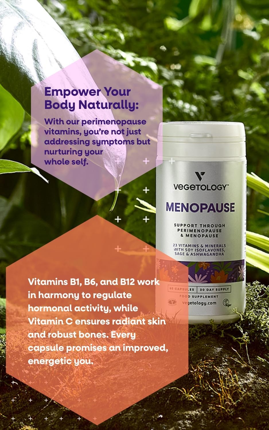 Women's Perimenopause and Menopause Support Supplements (60 Capsules) - Vegan Vitamins for Women - Natural Menopause Relief - Food Supplement for Women's Health
