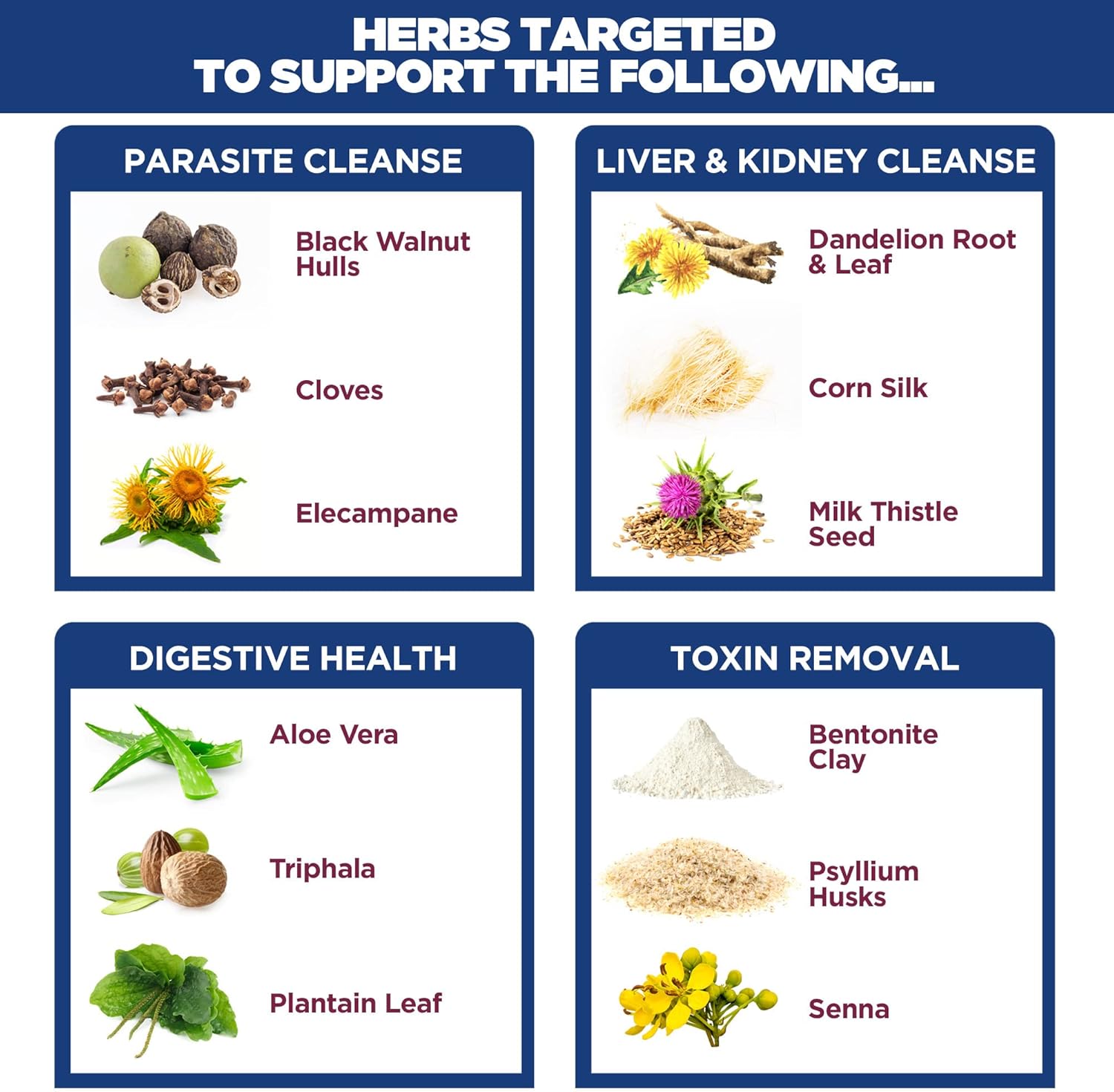 Yerba Prima Men's Internal Cleansing Dietary Supplement Kit - Pack of 2, Cleanse and Protect Your Body