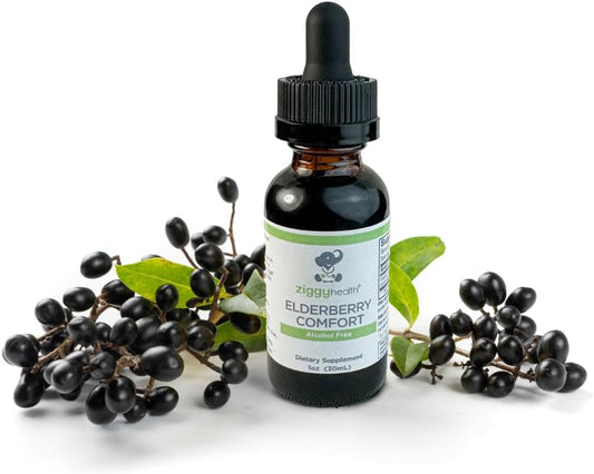 Ziggy Health Organic Elderberry Tincture Drops - Immune & Respiratory Support - 1oz Liquid Extract by Ziggy Baby