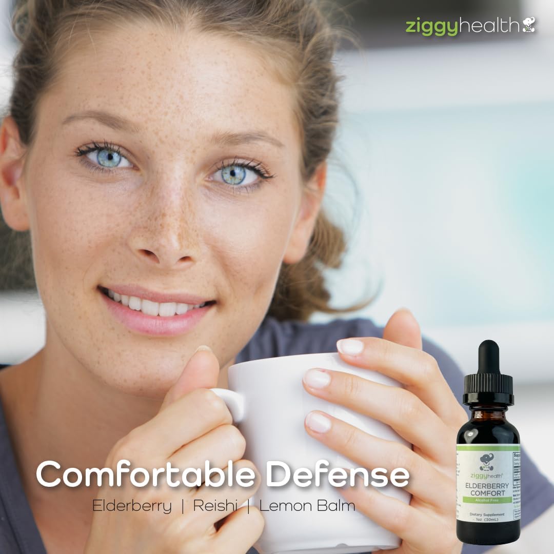 Ziggy Health Organic Elderberry Tincture Drops - Immune & Respiratory Support - 1oz Liquid Extract by Ziggy Baby