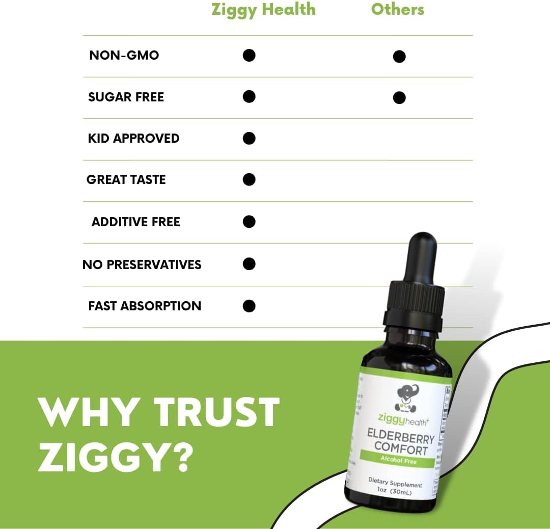 Ziggy Health Organic Elderberry Tincture Drops - Immune & Respiratory Support - 1oz Liquid Extract by Ziggy Baby