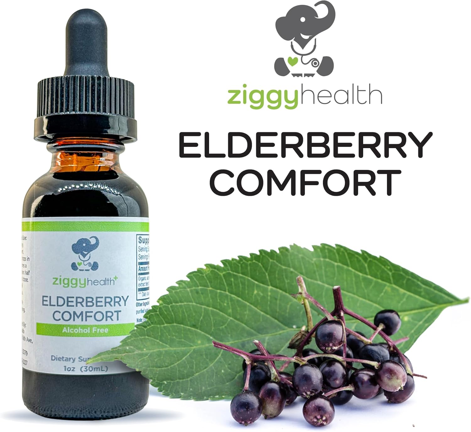Ziggy Health Organic Elderberry Tincture Drops - Immune & Respiratory Support - 1oz Liquid Extract by Ziggy Baby
