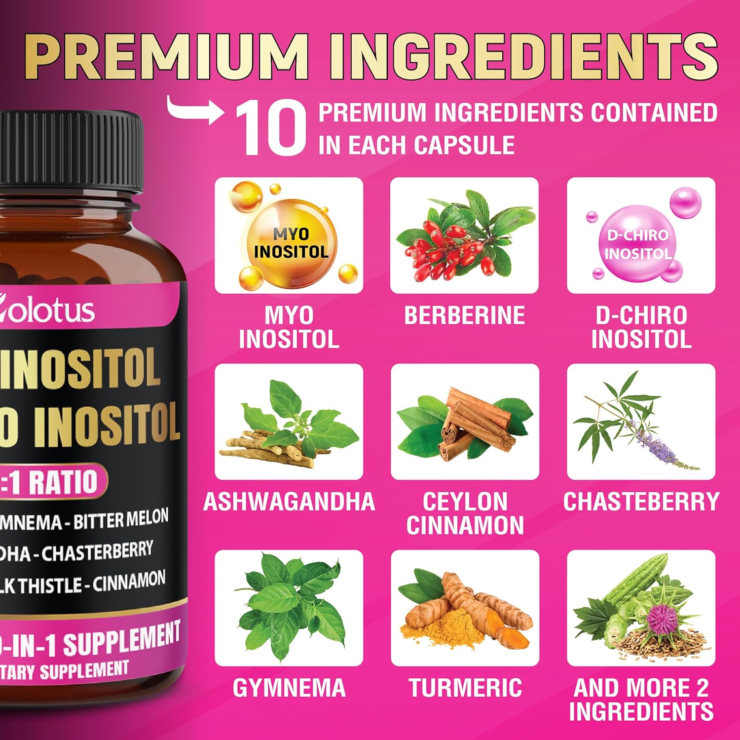 Zolotus Myo-Inositol & D-Chiro Inositol Supplement with Bitter Melon & Turmeric - 90 Capsules